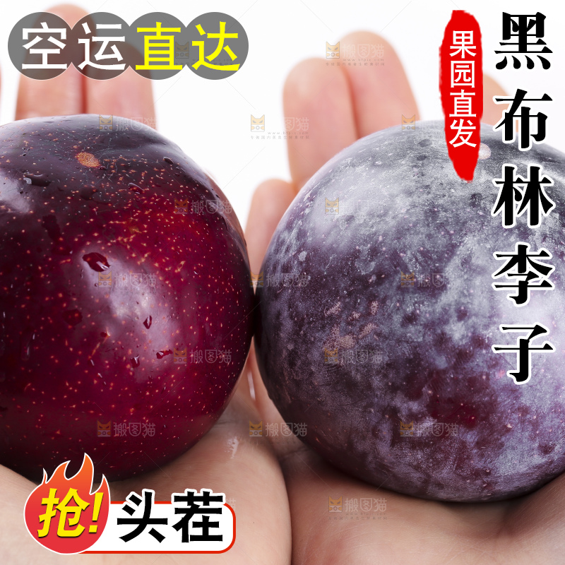 手里拿着进口黑布林
