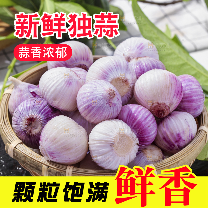 篮子里装着紫皮独蒜