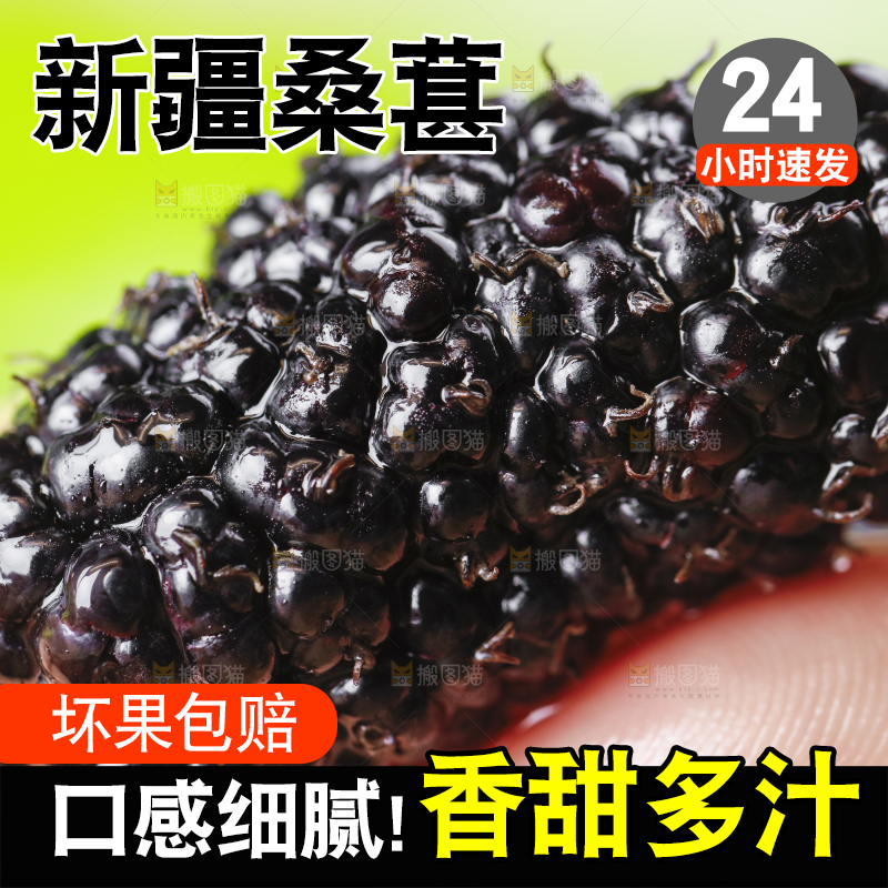 手里拿着黑桑葚