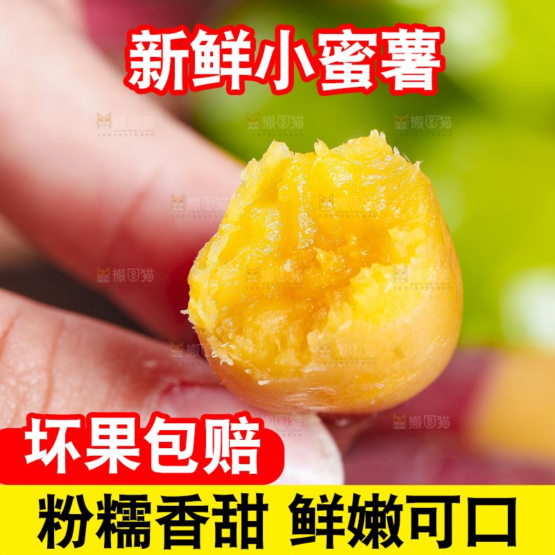 手里拿着板栗蜜薯