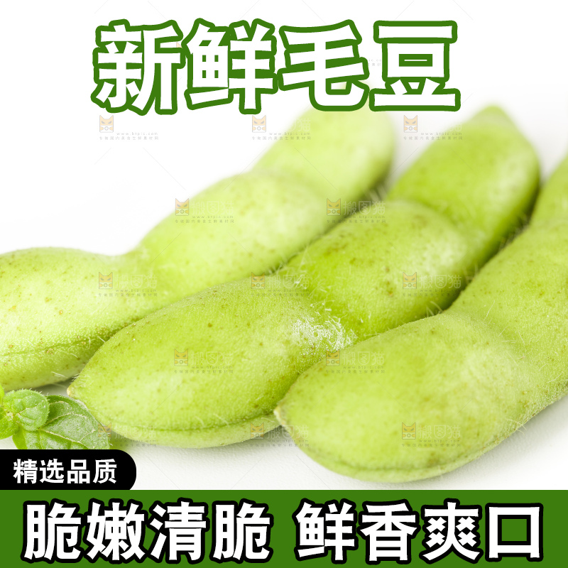 白底上摆放着毛豆角