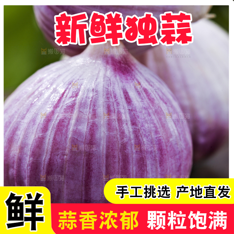 深底上摆放着云南独头蒜