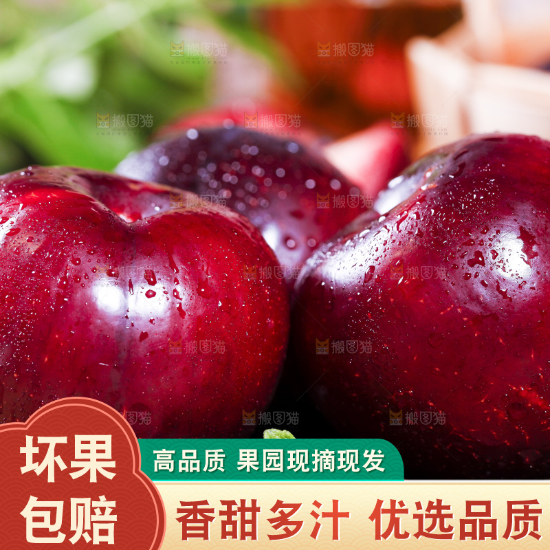 黑底上摆放着恐龙蛋李