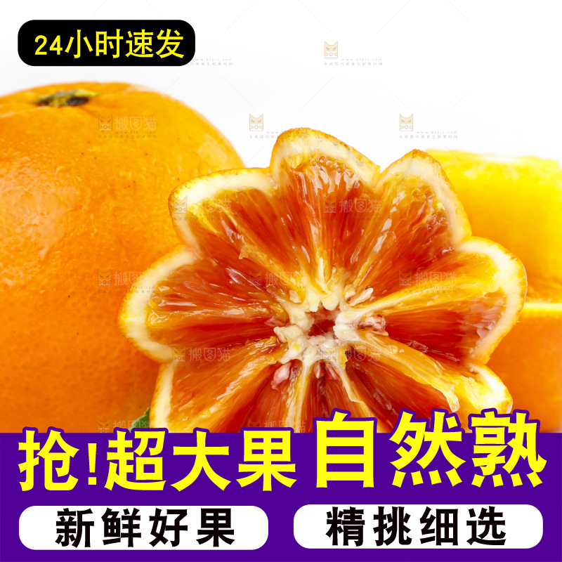 白底上摆放着四川塔罗科血橙