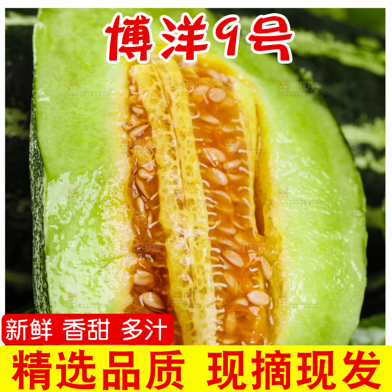 黑底上摆放着博洋蜜脆甜瓜