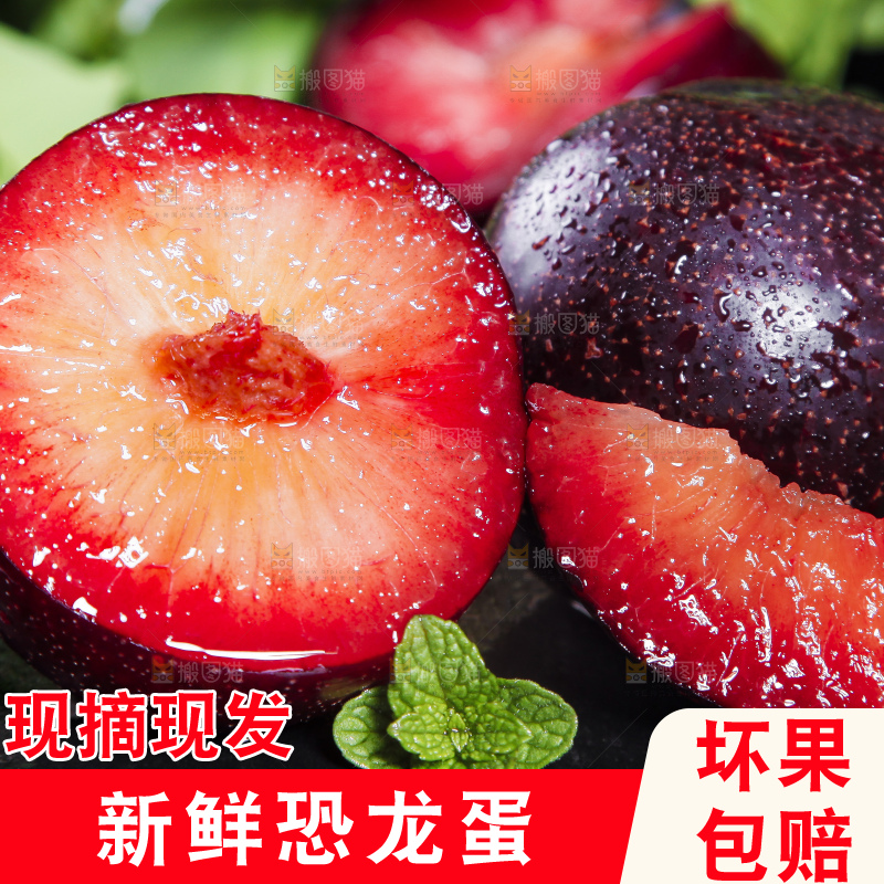 深底上摆放着恐龙蛋李