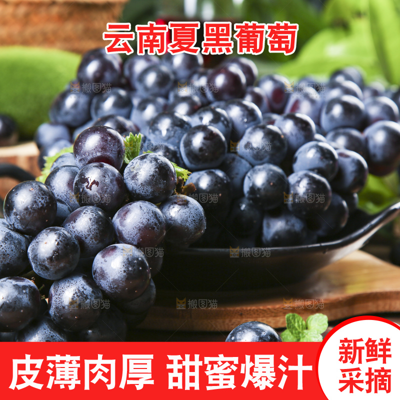 碟子里装着黑加仑