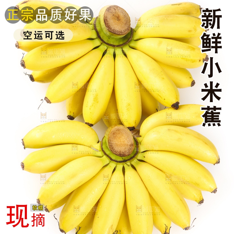 白底上摆放着小米蕉