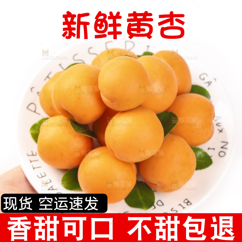 手里拿着一盘金太阳杏