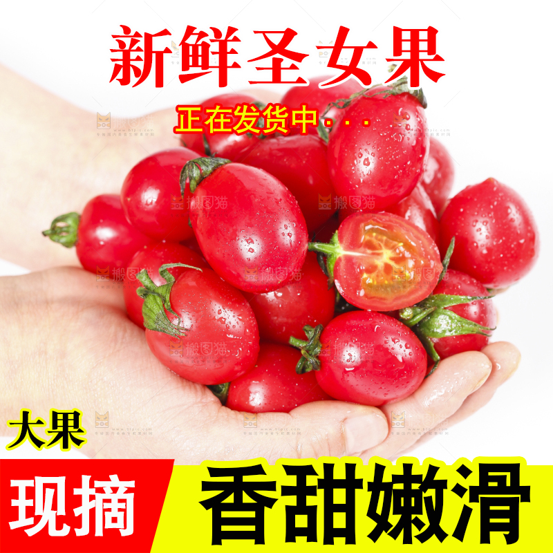 手里捧着小番茄