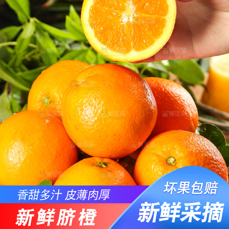 篮子里放着秭归脐橙