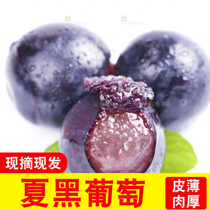 白底上摆放着夏黑葡萄
