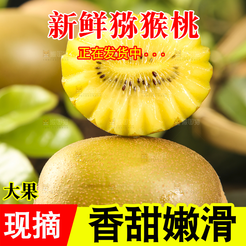 深底上摆放着黄金猕猴桃