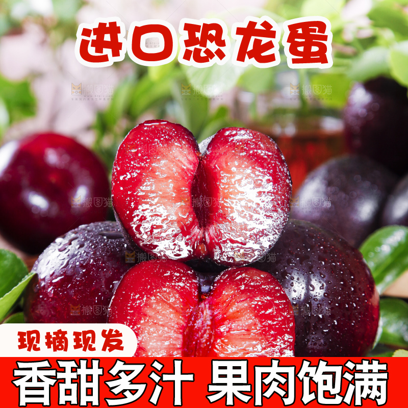 深底上摆放着恐龙蛋李