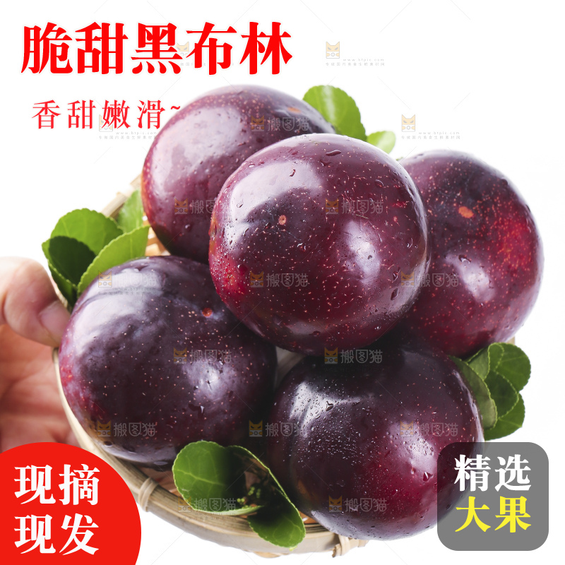 手里拿着一盘黑布朗