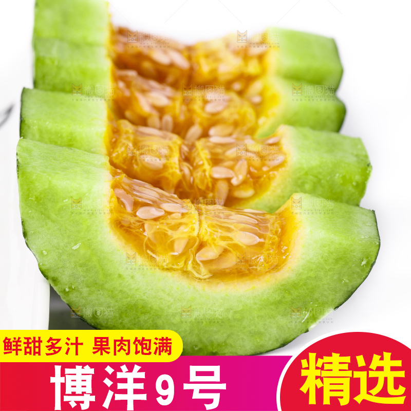 白底上放着博洋甜瓜