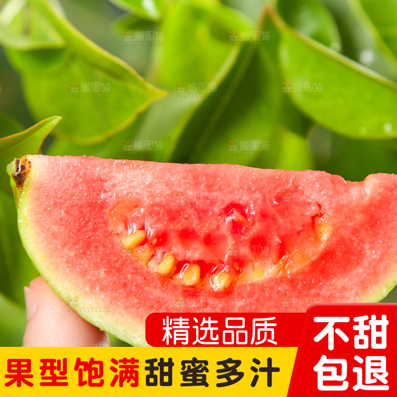手里拿着红心番石榴
