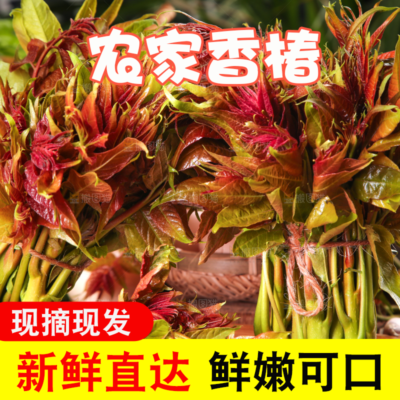 木底上摆放着新鲜香椿苗
