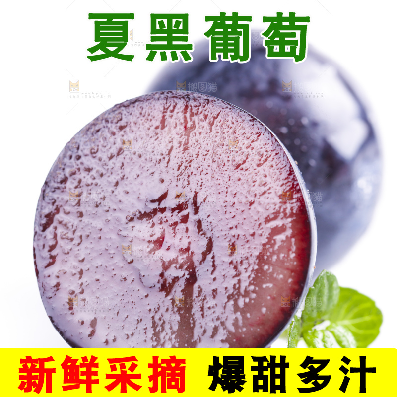 白底上放着夏黑加仑葡萄