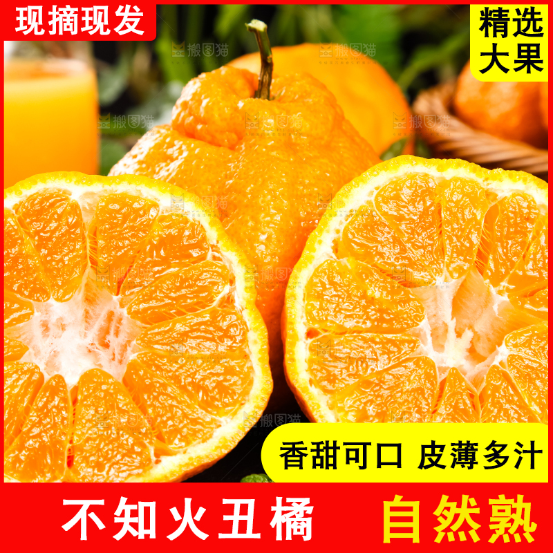 黑底上放着不知火丑橘