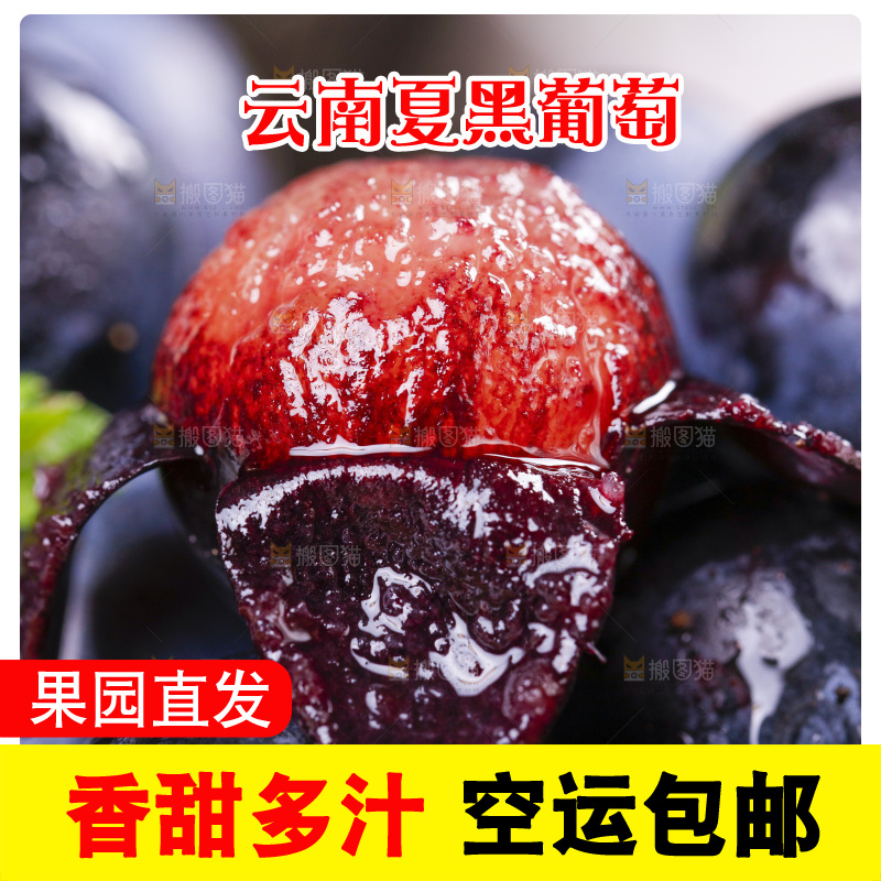 堆放着一堆的无籽黑提