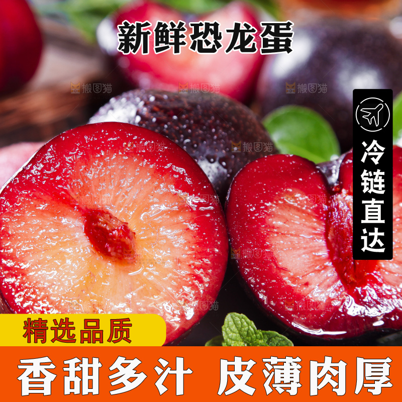 深底上摆放着恐龙蛋李