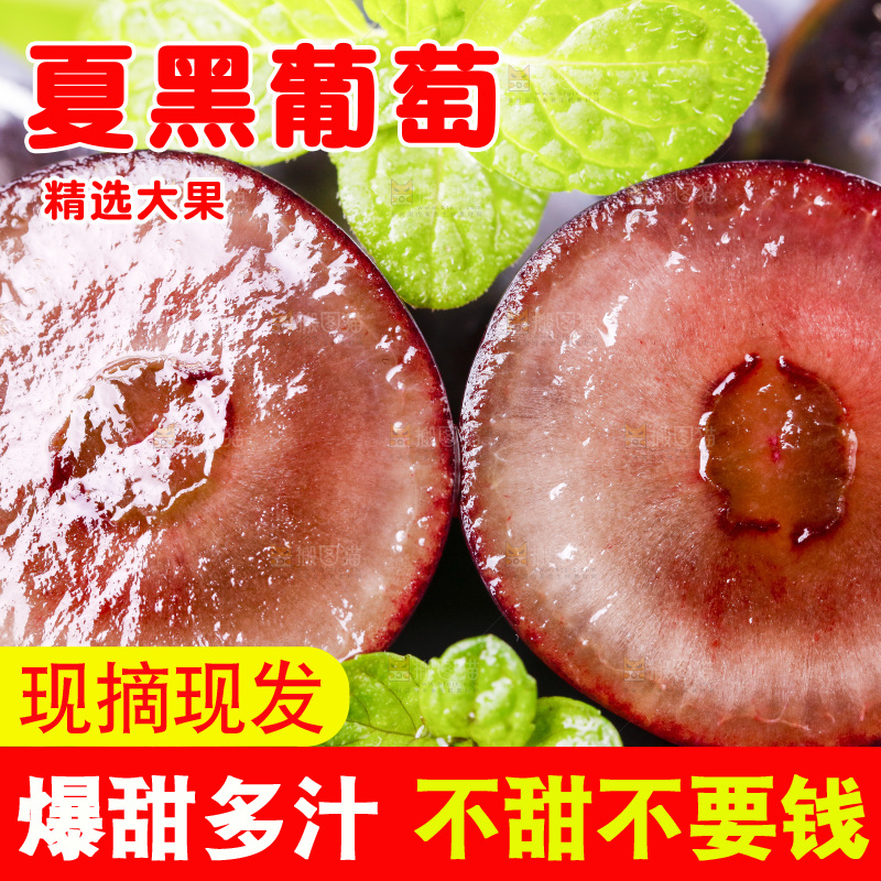黑底上摆放着黑加仑葡萄