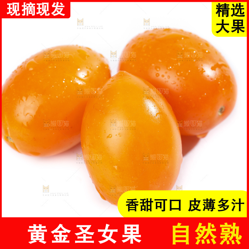 白底上摆放着山东黄金圣女果