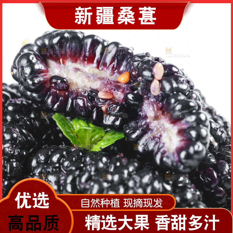 篮子里装着黑桑葚