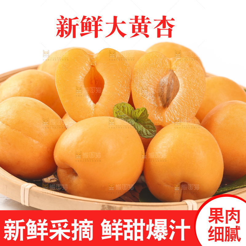 篮子里装着烟台杏子