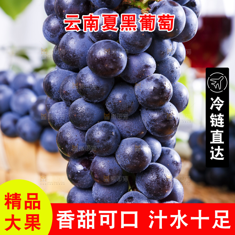 手里拿着云南夏黑葡萄