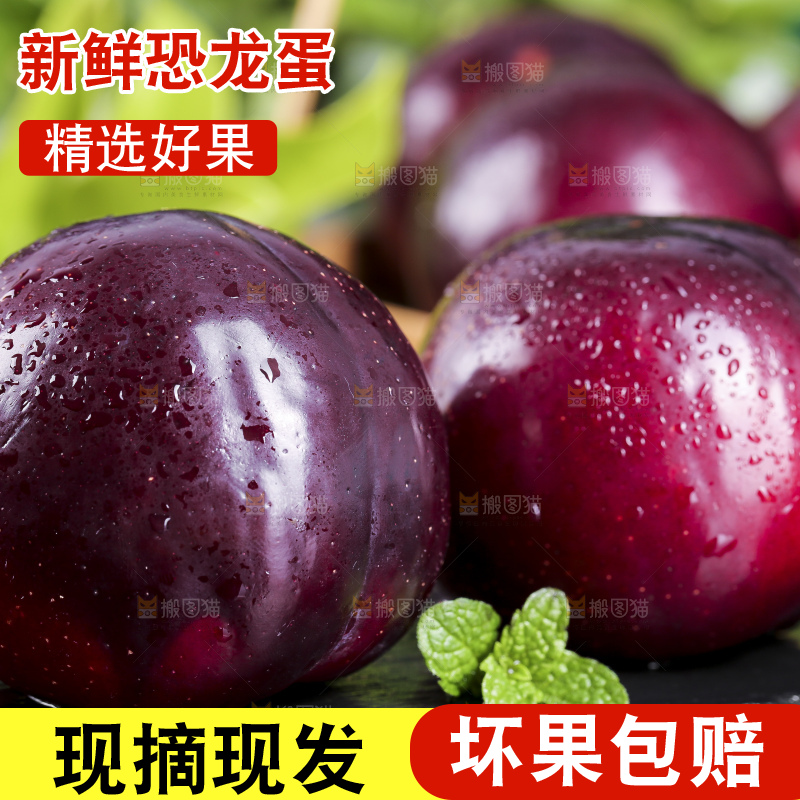 黑底上摆放着恐龙蛋李