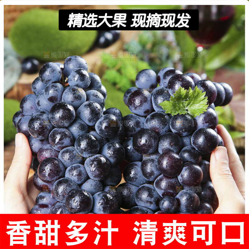 手里拿着紫葡萄