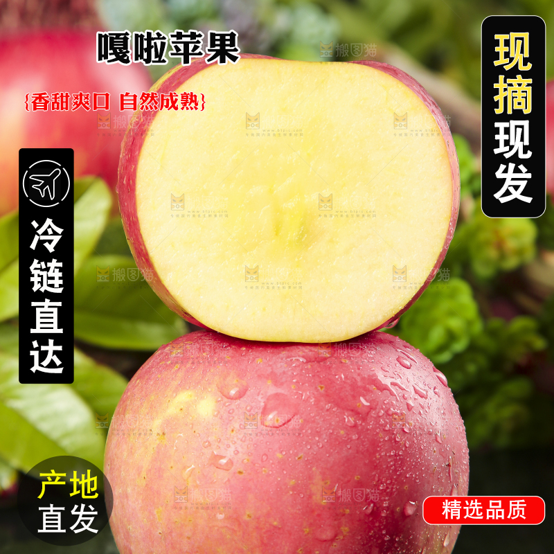 深底上摆放着红嘎啦苹果