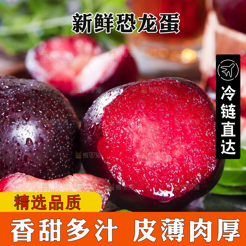 黑底上摆放着智利进口恐龙蛋