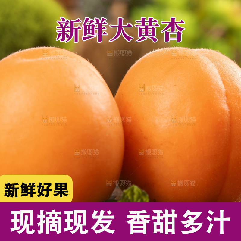深底上摆放着烟台杏子