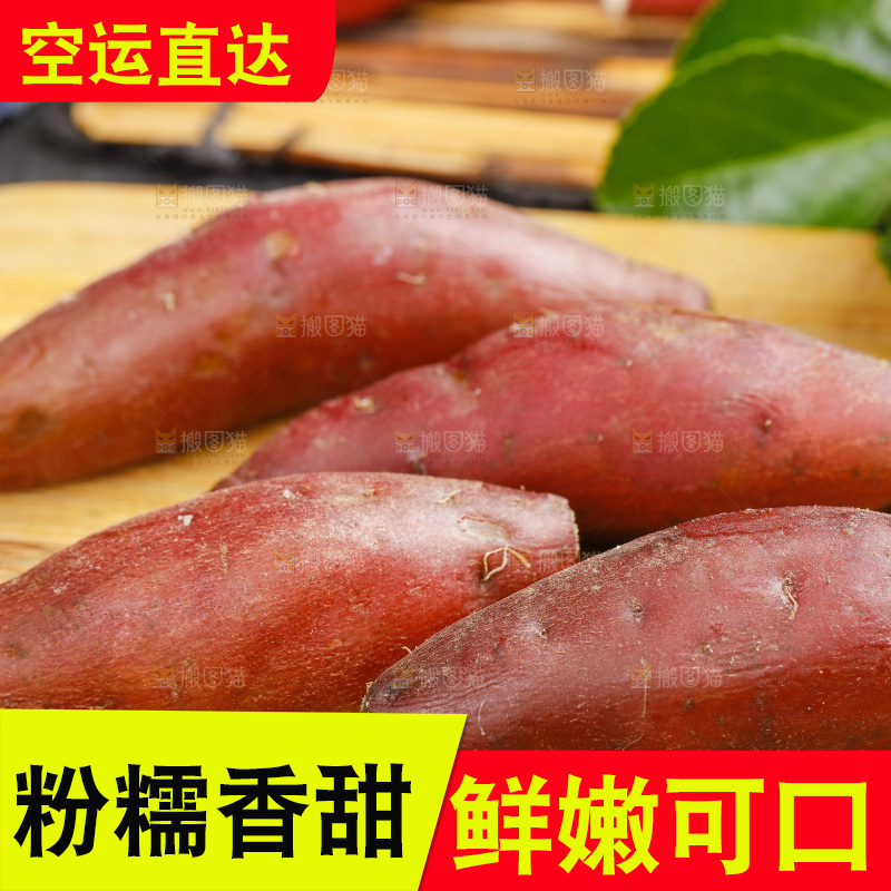 木底上摆放着天目山小香薯