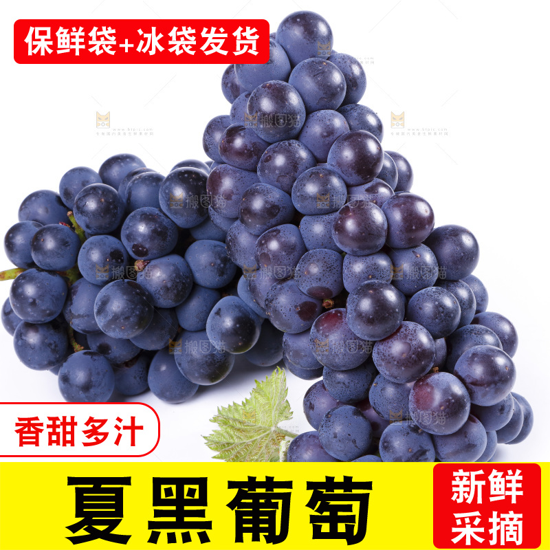 白底上摆放着巨峰葡萄