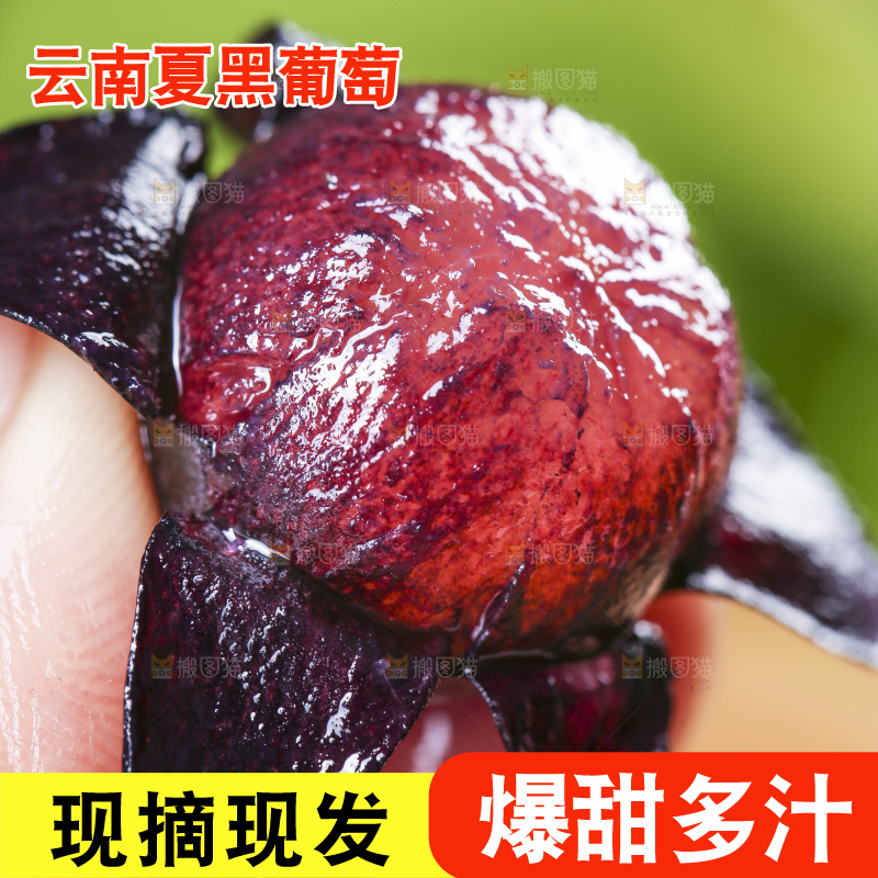 手里拿着黑提子