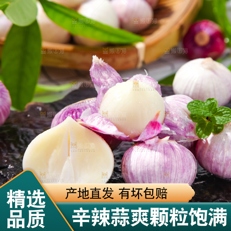 深底上摆放着紫皮独蒜