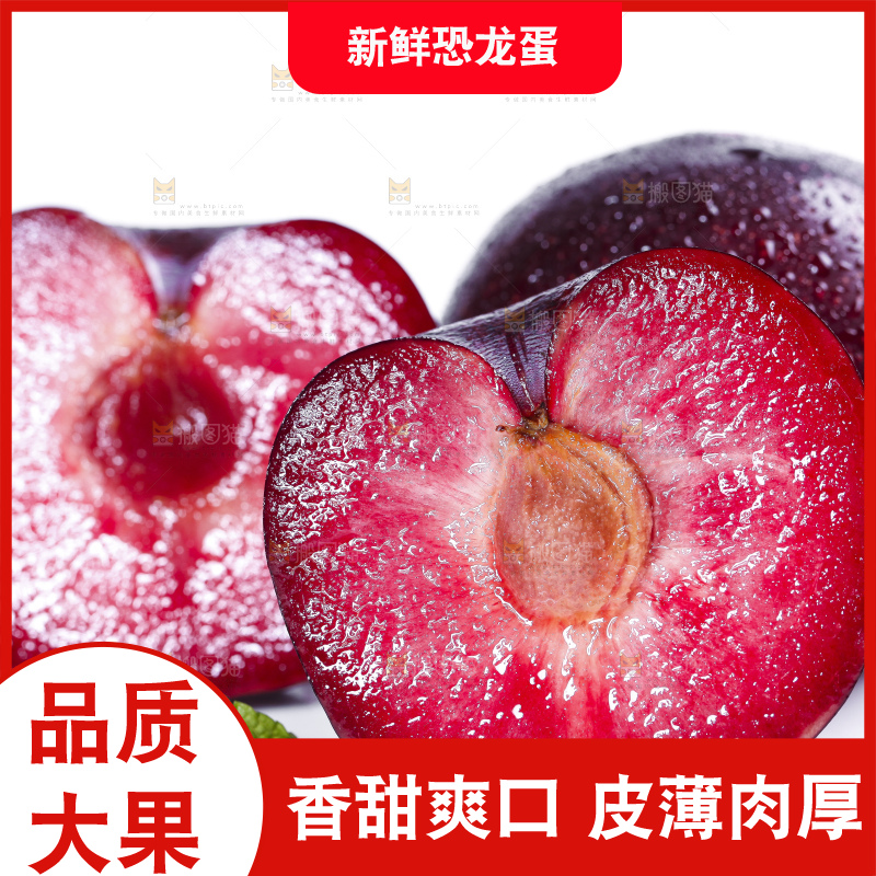 白底上摆放着恐龙蛋李
