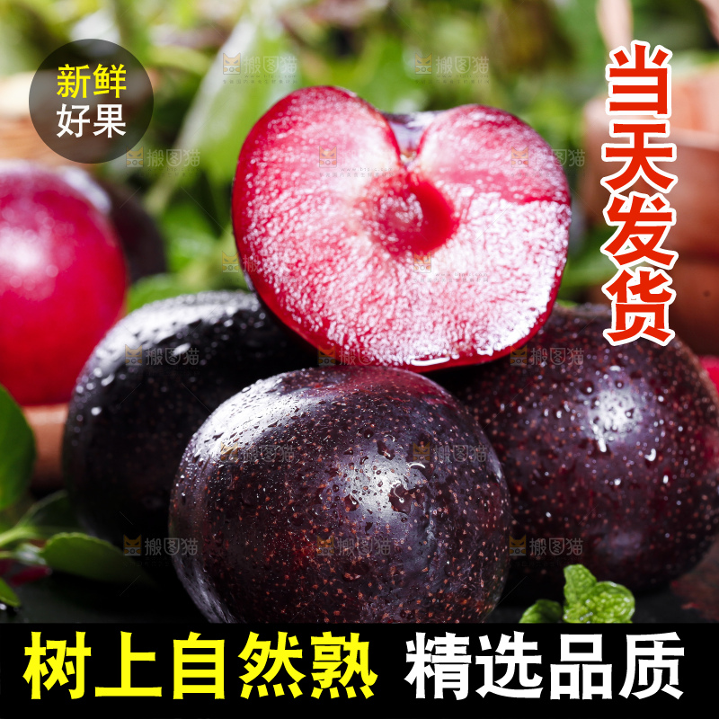 黑底上摆放着智利进口恐龙蛋