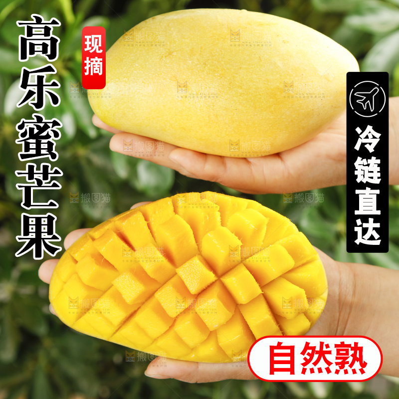 手里拿着新鲜高乐蜜