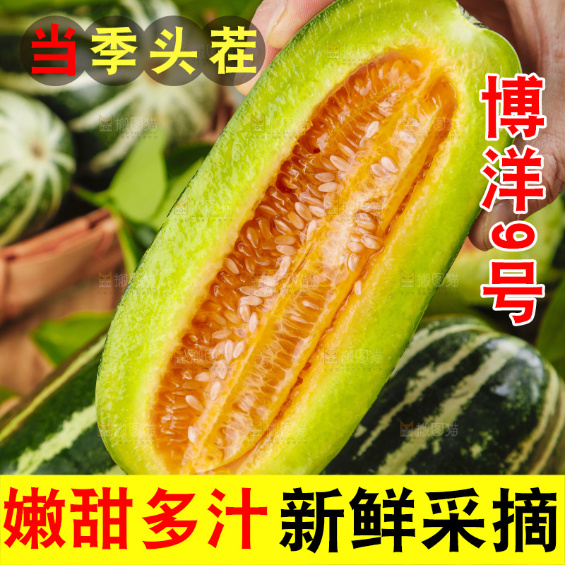 手里拿着博洋香瓜