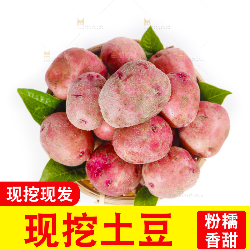 篮子里装着红皮小土豆