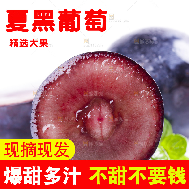 白底上放着夏黑加仑葡萄