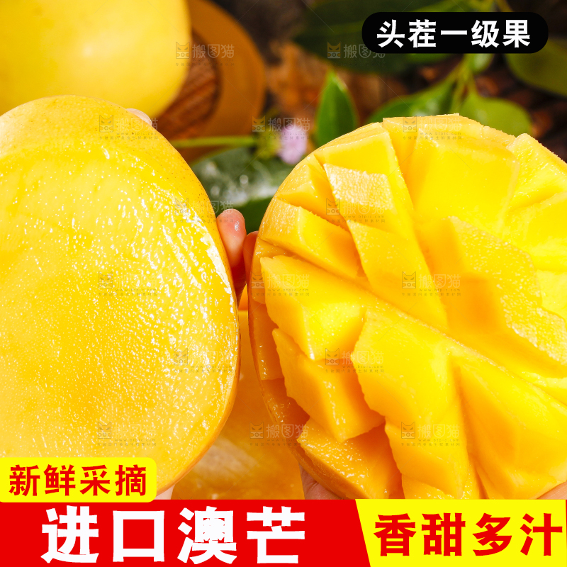 手里拿着新鲜澳芒