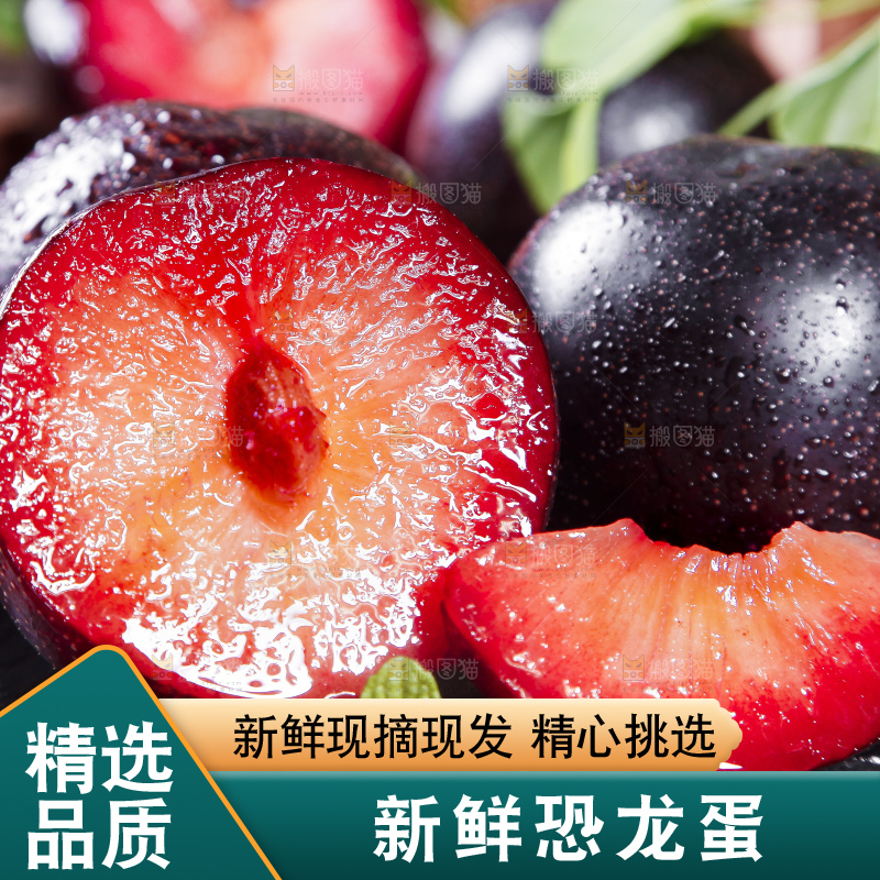 深底上摆放着恐龙蛋李