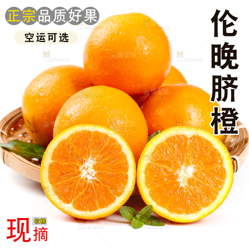 篮子里装着橙子