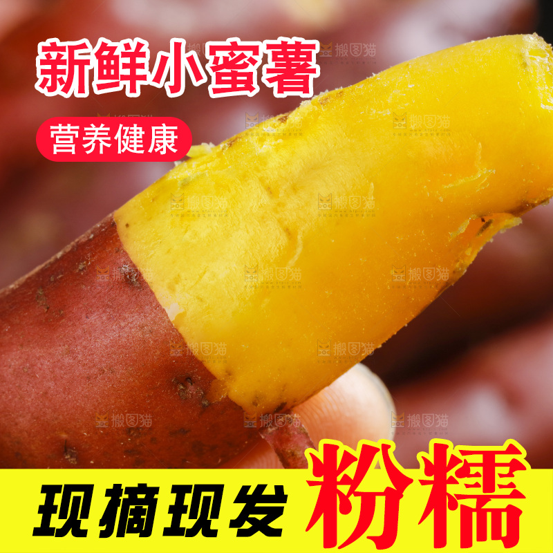 手里拿着天目山小香薯